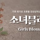 블로썸코리아 이미지