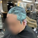 위즈헤어 - 달서구 | 위즈헤어