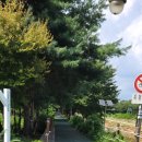 양재시민의 숲 3번출구 이미지