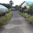 고정화할망집 이미지