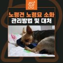 더라온메디칼 이미지