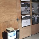 마르테꽃예술 | 부산현대미술관 전시 │ 지속 가능한 미술관, 미술과 환경