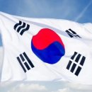 하이멍애견샵 네이버블로그