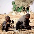 조천중학교 이미지