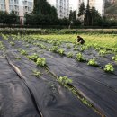 읍내9리 마을회관 이미지