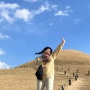 송학동고분군 화장실 이미지