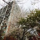 노원구보건지소 이미지