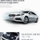 소나타 이미지