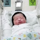 베드로요양병원 | 분당차여성병원 제왕절개 출산 당일과 수술 2일차 회복기!