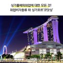 청운아시아마트 | 싱가폴해외취업에 대한 모든 것! 취업비자종류 와 싱가포르'코닷싱'