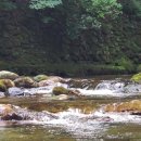 주소 맞은편 공원 이미지