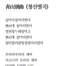 욜리욜리