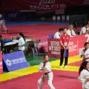 강철 학운 태권도 이미지