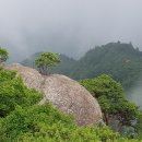 시청운동장