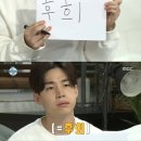 대형애견 이미지