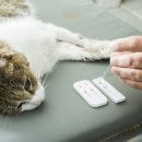 둔산동물병원 이미지