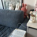 백산유통 | 2025년 6월) 일본에서 시작하는 6월 그리고 푸릇한 공기