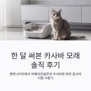 대박솔루션 | 한 달 써본 아메리칸솔루션 카사바 모래 솔직 사용 후기