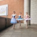 디딤(한국무용) 이미지