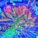 [나이는 숫자에 불과해/가수,정훈] 어둠속 나/시/조철수 포토/원영 이미지