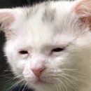 티바치킨케이팝피자 | 봄만 되면 우울해지고 잘먹는 여자의 1~3월 일상.zip