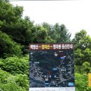조이도그