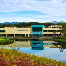 영동관광(주) | 영동 일라이트CC 충북 벚꽃명소 36홀 패키지 힐링 라운드 추천