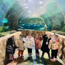 참조은어린이집 이미지