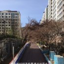 과천역 7번 출구(내점길) 이미지