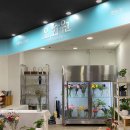 꽃뿐이네 이미지