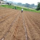 오석산영농조합법인 이미지