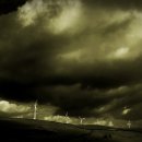 자연이야기 이미지