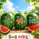 도치구문 이미지