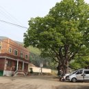 장동리 마을회관 이미지