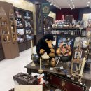 해리애견 | 판교 놀거리 현대백화점 팝업 무모한상점 해리포터 디저트 카페 몬지 데이트 애견