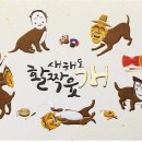 행복하시개 이미지