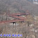 금산산림문화타운 이미지