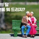 주식회사 피스팜
