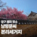 인흥식당 | 대구 봄 나들이 추천｜남평문씨본리세거지 홍매화, 백매화 후기 (3월 20일 개화 상황)