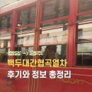 🇰🇷코레일 백두대간협곡열차 예매&amp;가격, 맛집까지 (철암-&gt;영주 이용정보 총정리, 뚜벅이 여행)