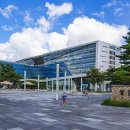 금빛초교 이미지