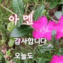 (주)엄마사랑 이미지