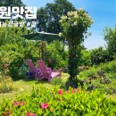 표선가시리민박 이미지