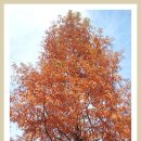 미천공원 이미지