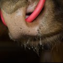 안심농장 이미지