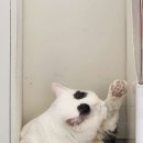 카페 우주(woozoo)