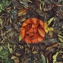 골드워시 이미지