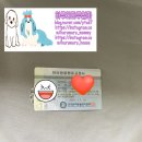 도그피아 애견 훈련 학교 이미지