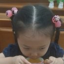 행은야채과일