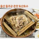옻나무집 | 울산온양맛집 요산요수 옻닭백숙 먹고 몸보신 제대로한 후기